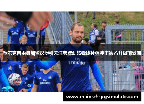 塞尔克自由身加盟汉堡引关注老牌劲旅锋线补强冲击德乙升级前受期