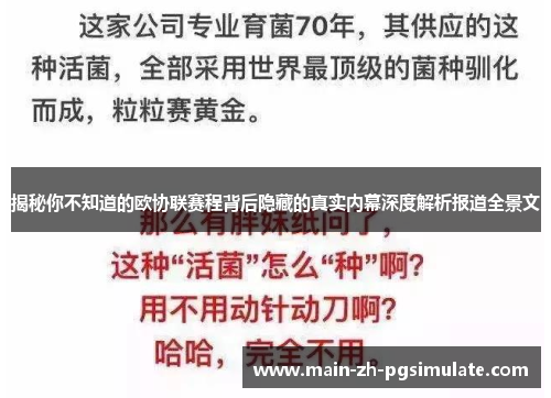 揭秘你不知道的欧协联赛程背后隐藏的真实内幕深度解析报道全景文